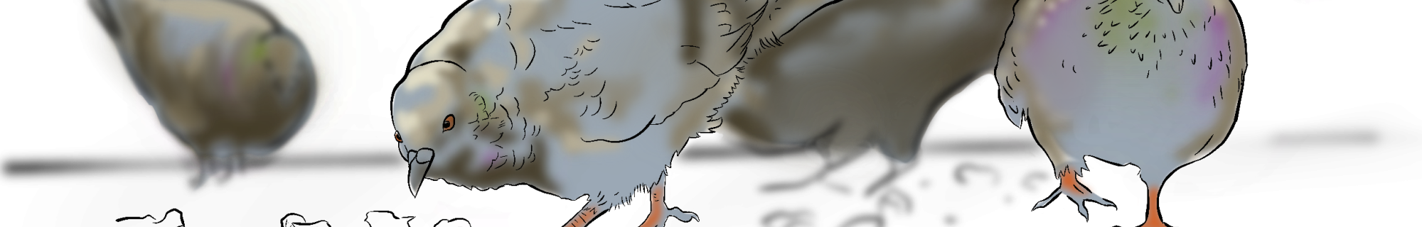 Hoodrat Anthropology 